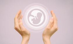 Каждый седьмой российский регион в прошлом году не проводил ЭКО