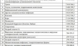 Инфекционные болезни нанесли ущерб экономике России в 2024 году на 1 трлн рублей