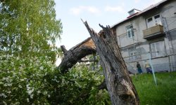 Метеоролог рассказал, как часто образуются торнадо на Урале