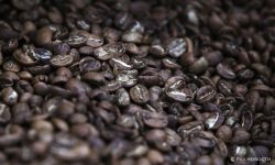 Вода определяет вкус кофе, рассказал бариста