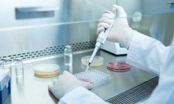 Роспотребнадзор зарегистрировали первый в мире CRISPR-тест на устойчивость к антибиотикам