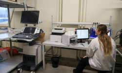 В России хотят изменить правила проведения рентгенологических исследований