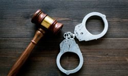 Бывшего главу НИИ вакцин и сывороток ФМБА приговорили к 9 годам колонии строгого режима
